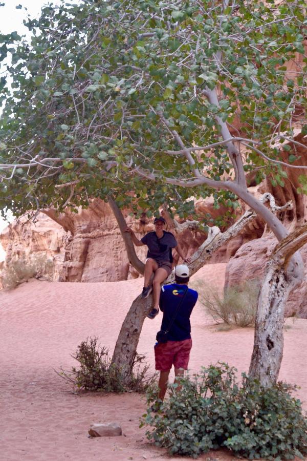 Nature Star Camp Wadi Rum Exterior foto